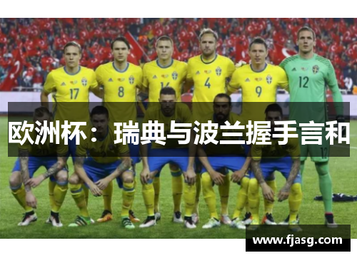 欧洲杯：瑞典与波兰握手言和