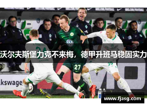沃尔夫斯堡力克不来梅，德甲升班马稳固实力